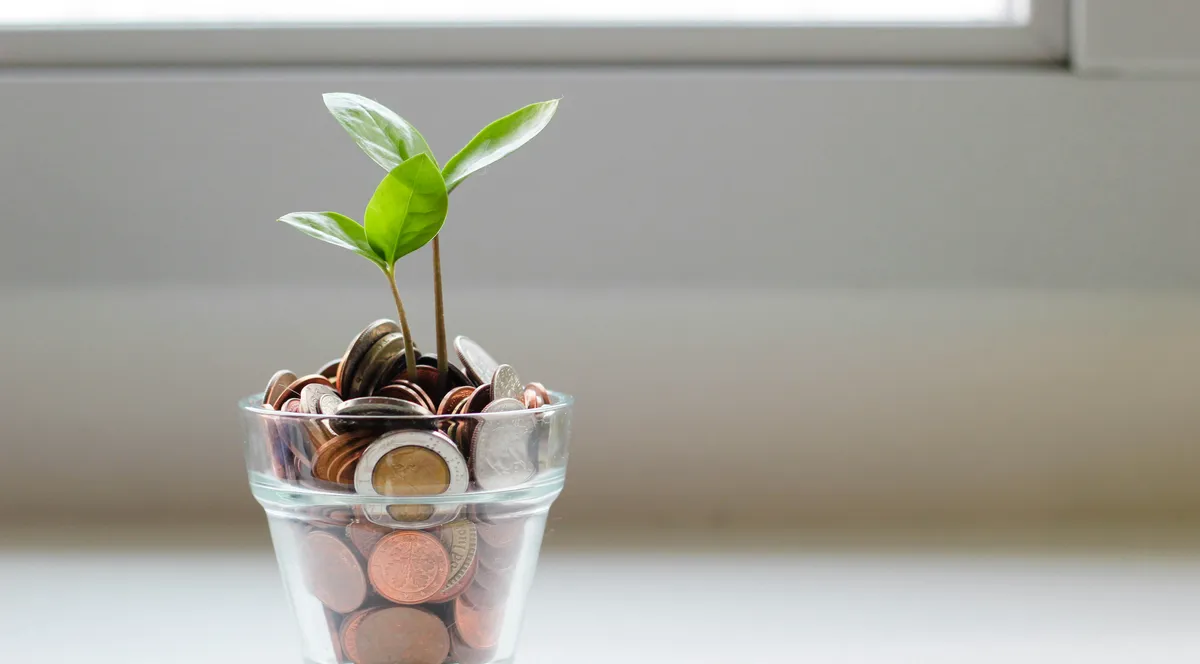 A small green plant growing out of a glass jar filled with coins