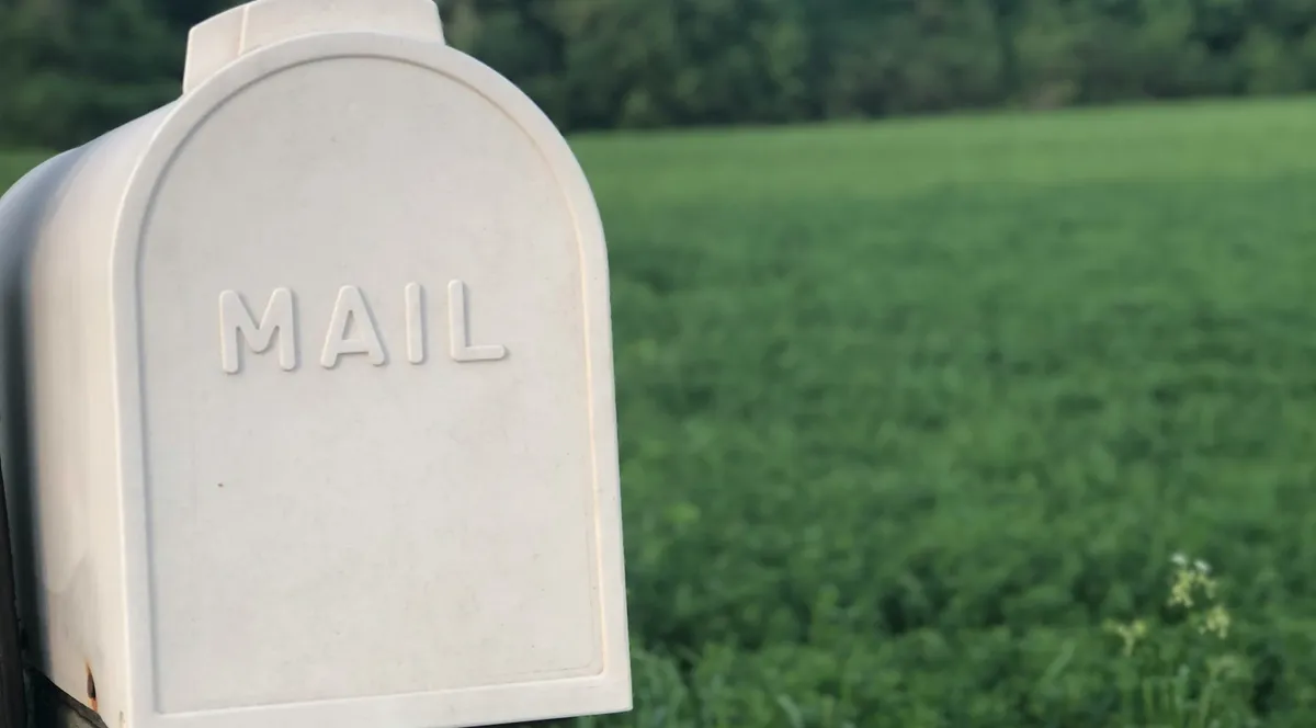 A white rural mailbox marked MAIL on a wooden post, a green field behind